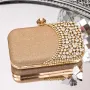 Geanta Plic BA88 Champagne | Mei » Reina.Ro