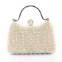 Geanta Plic BZ199 LIGHT GOLD | MEI